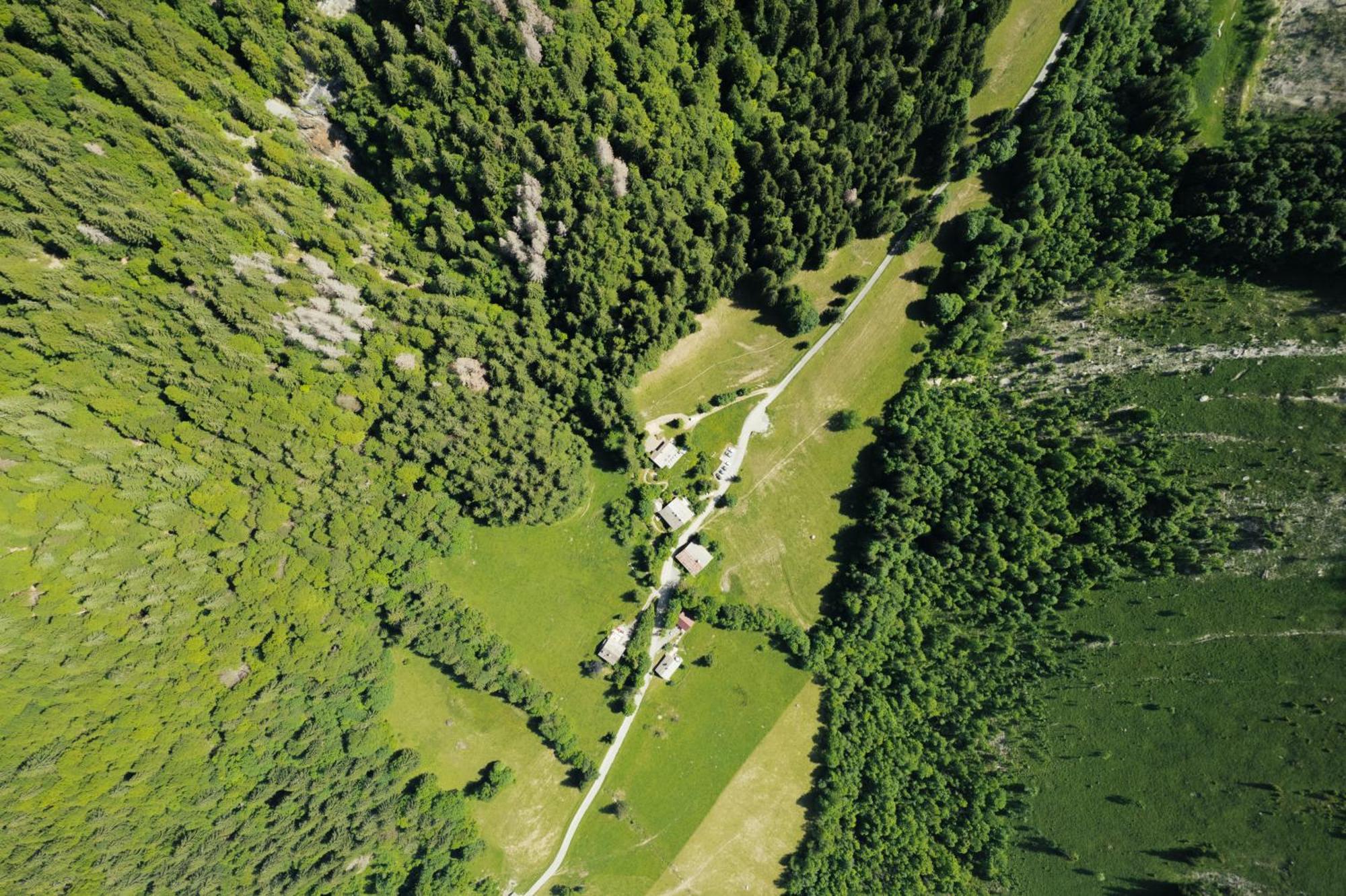 Chalet 1864 Le Grand-Bornand Exteriör bild