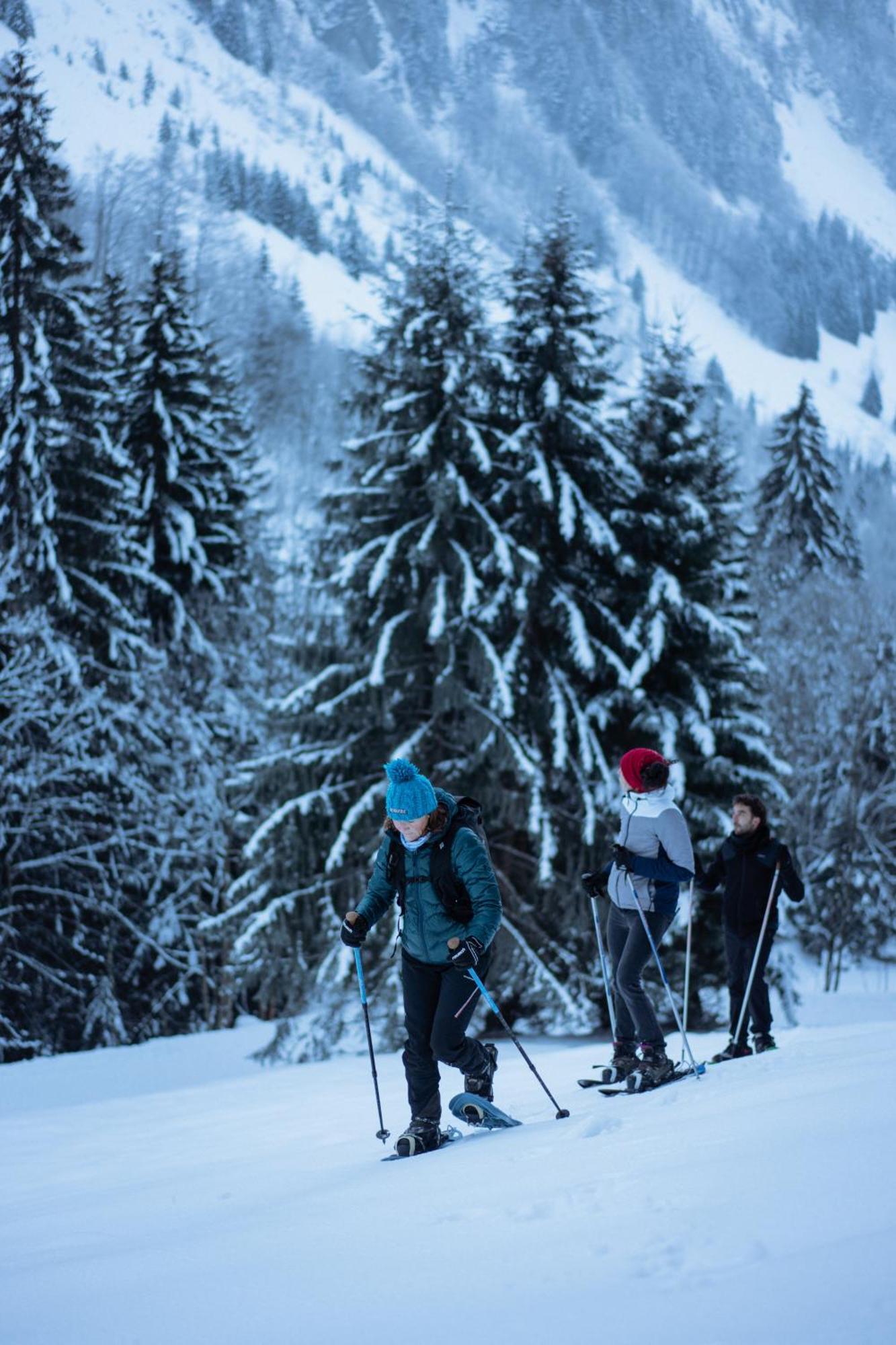 Chalet 1864 Le Grand-Bornand Exteriör bild